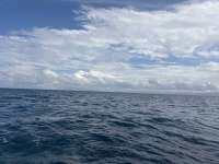Great day of scuba diving in Key Largo with Rainbow Reef on benwood wreck tropical serenity 2026 01 14 r19417 1
