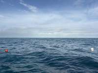 Great day of scuba diving in Key Largo with Rainbow Reef on benwood wreck tropical serenity 2026 01 18 r19430 1
