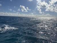 Great day of scuba diving in Key Largo with Rainbow Reef on coral canyons tropical odyssey 2026 01 09 r19404 1