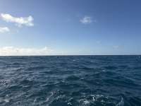 Great day of scuba diving in Key Largo with Rainbow Reef on eagle ray alley tropical destiny 2026 01 25 r19449 1