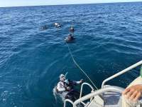 Great day of scuba diving in Key Largo with Rainbow Reef on french reef tropical destiny 2026 01 02 r19377 1