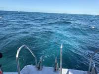 Great day of scuba diving in Key Largo with Rainbow Reef on molasses reef tropical destiny 2026 01 10 r19405 1