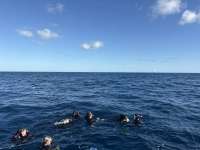 Great day of scuba diving in Key Largo with Rainbow Reef on spiegel grove tropical odyssey 2026 01 05 r19392 1