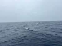 Great day of scuba diving in Key Largo with Rainbow Reef on spiegel grove tropical odyssey 2026 01 12 r19412 1
