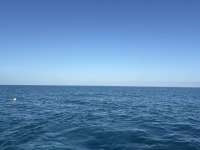 Great day of scuba diving in Key Largo with Rainbow Reef on spiegel grove tropical odyssey 2026 01 26 r19451 1