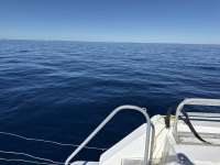 Great day of scuba diving in Key Largo with Rainbow Reef on uscgc duane tropical destiny 2026 01 03 r19384 1
