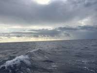 Great day of scuba diving in Key Largo with Rainbow Reef on uscgc duane tropical odyssey 2026 01 15 r19419 1