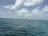 Great day of scuba diving in Key Largo with Rainbow Reef on anchor chain tropical adventure 2026 07 08 r19961 1