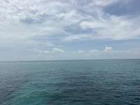 Great day of scuba diving in Key Largo with Rainbow Reef on anchor chain tropical odyssey 2026 07 31 r20099 1