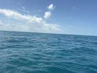 Great day of scuba diving in Key Largo with Rainbow Reef on benwood wreck tropical destiny 2026 07 22 r20026 1