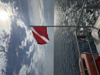 Great day of scuba diving in Key Largo with Rainbow Reef on benwood wreck tropical odyssey 2026 07 28 r20070 1
