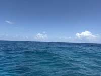 Great day of scuba diving in Key Largo with Rainbow Reef on benwood wreck tropical serenity 2026 07 21 r20021 1