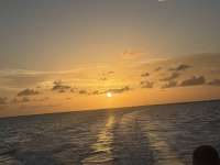 Great day of scuba diving in Key Largo with Rainbow Reef on benwood wreck tropical serenity 2026 07 21 r20023 1