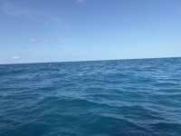 Great day of scuba diving in Key Largo with Rainbow Reef on christmastree cave tropical destiny 2026 07 21 r20019 1