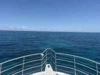 Great day of scuba diving in Key Largo with Rainbow Reef on city of washington tropical odyssey 2026 07 04 r19945 1