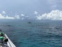 Great day of scuba diving in Key Largo with Rainbow Reef on city of washington tropical odyssey 2026 07 25 r20056 1