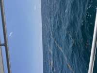 Great day of scuba diving in Key Largo with Rainbow Reef on conch ledge tropical serenity 2026 07 29 r20086 1