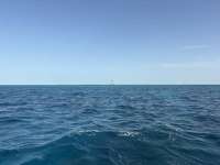 Great day of scuba diving in Key Largo with Rainbow Reef on coral canyons tropical serenity 2026 07 15 r19991 1