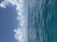 Great day of scuba diving in Key Largo with Rainbow Reef on donut hole tropical destiny 2026 07 25 r20053 1