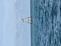 Great day of scuba diving in Key Largo with Rainbow Reef on hole in the wall tropical serenity 2026 07 30 r20087 1