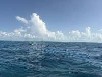 Great day of scuba diving in Key Largo with Rainbow Reef on jjs cave tropical destiny 2026 07 23 r20031 1