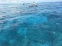 Great day of scuba diving in Key Largo with Rainbow Reef on jjs cave tropical odyssey 2026 07 05 r19950 1