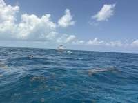 Great day of scuba diving in Key Largo with Rainbow Reef on jjs cave tropical odyssey 2026 07 19 r20012 1