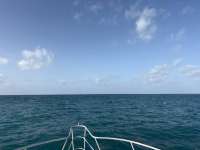 Great day of scuba diving in Key Largo with Rainbow Reef on nine channel tropical adventure 2026 07 09 r19971 1