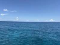 Great day of scuba diving in Key Largo with Rainbow Reef on permit ledges tropical adventure 2026 07 01 r19931 1