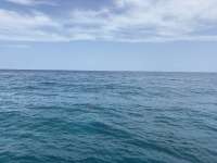 Great day of scuba diving in Key Largo with Rainbow Reef on permit ledges tropical odyssey 2026 07 14 r19990 1