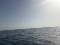 Great day of scuba diving in Key Largo with Rainbow Reef on sand bottom cave tropical adventure 2026 07 08 r19958 1