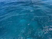 Great day of scuba diving in Key Largo with Rainbow Reef on sand bottom cave tropical destiny 2026 07 23 r20035 1