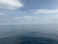 Great day of scuba diving in Key Largo with Rainbow Reef on sand bottom cave tropical odyssey 2026 07 31 r20098 1