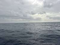 Great day of scuba diving in Key Largo with Rainbow Reef on spiegel grove tropical odyssey 2026 07 12 r19973 1