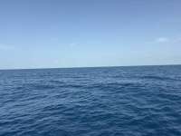 Great day of scuba diving in Key Largo with Rainbow Reef on spiegel grove tropical odyssey 2026 07 13 r19979 1