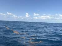 Great day of scuba diving in Key Largo with Rainbow Reef on spiegel grove tropical odyssey 2026 07 19 r20011 1
