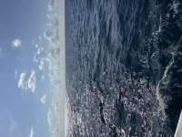 Great day of scuba diving in Key Largo with Rainbow Reef on spiegel grove tropical serenity 2026 07 29 r20082 1