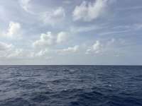 Great day of scuba diving in Key Largo with Rainbow Reef on uscgc duane tropical destiny 2026 07 18 r20006 1