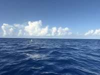 Great day of scuba diving in Key Largo with Rainbow Reef on uscgc duane tropical destiny 2026 07 23 r20029 1