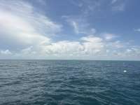 Great day of scuba diving in Key Largo with Rainbow Reef on benwood wreck tropical destiny 2026 06 11 r19851 1