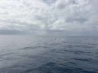Great day of scuba diving in Key Largo with Rainbow Reef on benwood wreck tropical odyssey 2026 06 02 r19816 1