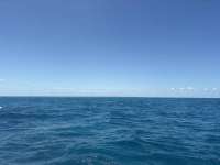 Great day of scuba diving in Key Largo with Rainbow Reef on benwood wreck tropical serenity 2026 06 06 r19833 1