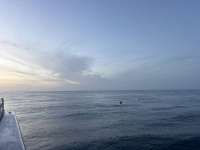 Great day of scuba diving in Key Largo with Rainbow Reef on benwood wreck tropical serenity 2026 06 16 r19869 1