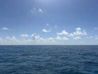 Great day of scuba diving in Key Largo with Rainbow Reef on captains choice tropical adventure 2026 06 29 r19920 1