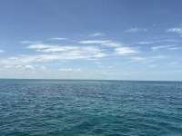Great day of scuba diving in Key Largo with Rainbow Reef on christ statue tropical odyssey 2026 06 02 r19817 1