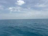 Great day of scuba diving in Key Largo with Rainbow Reef on christ statue tropical odyssey 2026 06 18 r19873 1