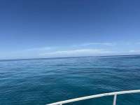 Great day of scuba diving in Key Largo with Rainbow Reef on city of washington tropical serenity 2026 06 14 r19865 1