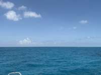 Great day of scuba diving in Key Largo with Rainbow Reef on coral canyons tropical adventure 2026 06 16 r19868 1