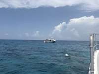 Great day of scuba diving in Key Largo with Rainbow Reef on coral canyons tropical odyssey 2026 06 26 r19908 1