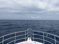 Great day of scuba diving in Key Largo with Rainbow Reef on drift conch wall tropical destiny 2026 06 10 r19847 1